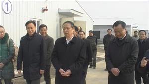 Governor of An’hui Province Did A Research in The Base of Gu County of Hundred-Million Broilers